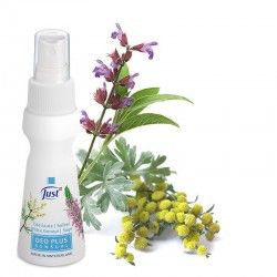 Дезодорант Plus Sage Sensual